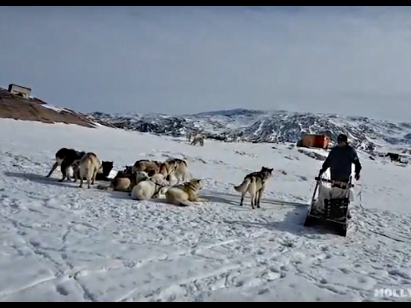Собачьи упряжки эскимосов, Баффинова земля, столица Икалуит