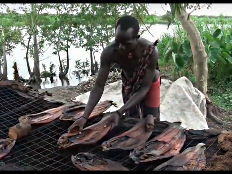Люди в Африке пытаются прокормить себя на болотах Судд рыболовством.